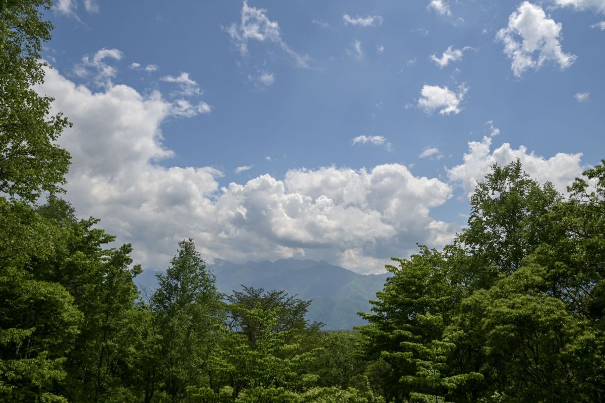 茅野