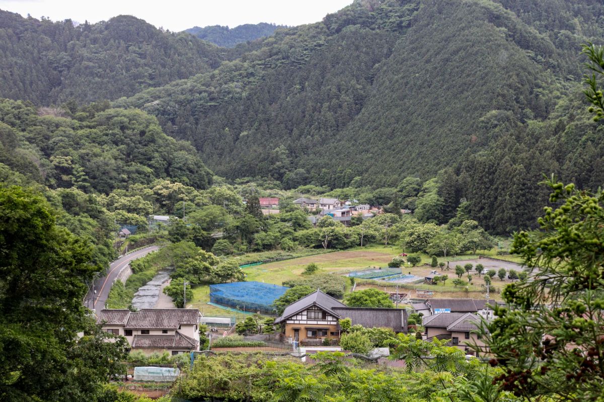 梅雨の中休み