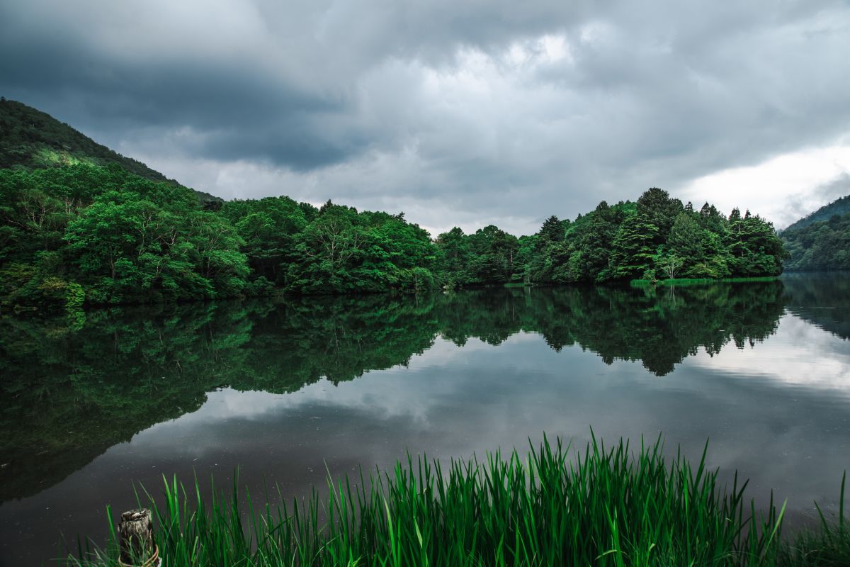 奥日光・湯の湖　2024年６月