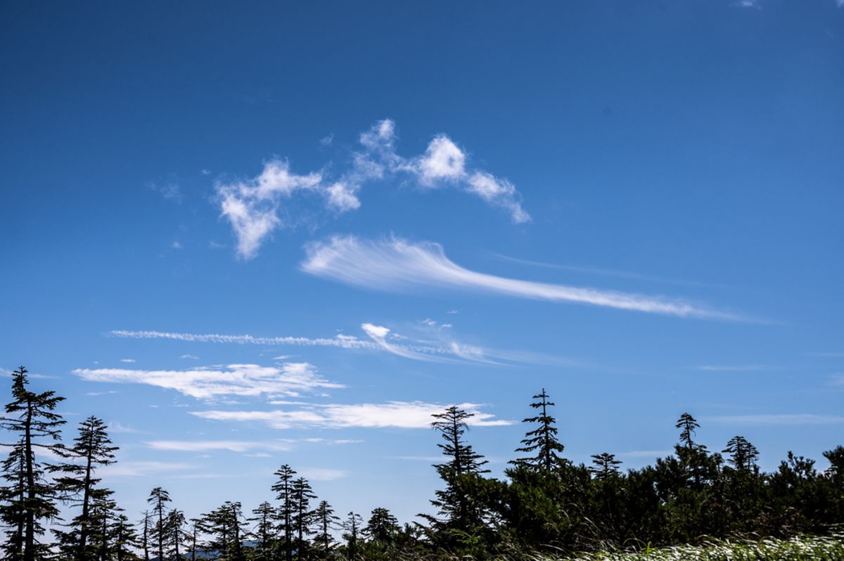 西吾妻山　(福島・山形)