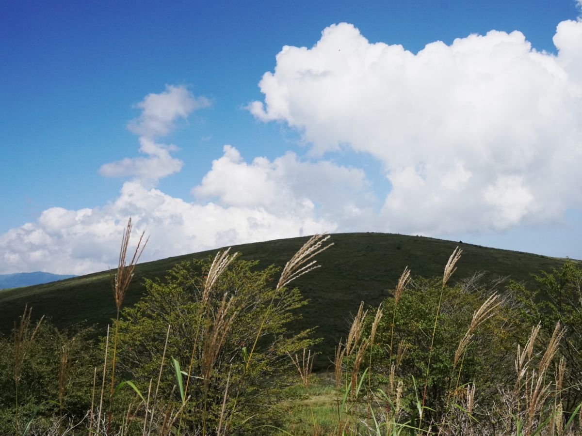 ０２　霧ヶ峰高原　　渡辺　　　　　　　　　　　　　　　　　　　　　　　　