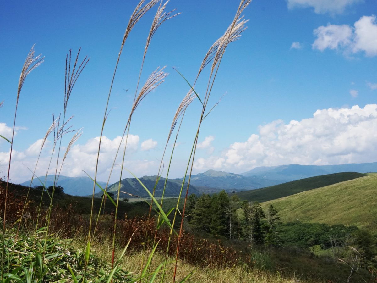 ０３　　霧ヶ峰高原　　渡辺　　　　　　　　　　　　　　　　　　　　　　　　