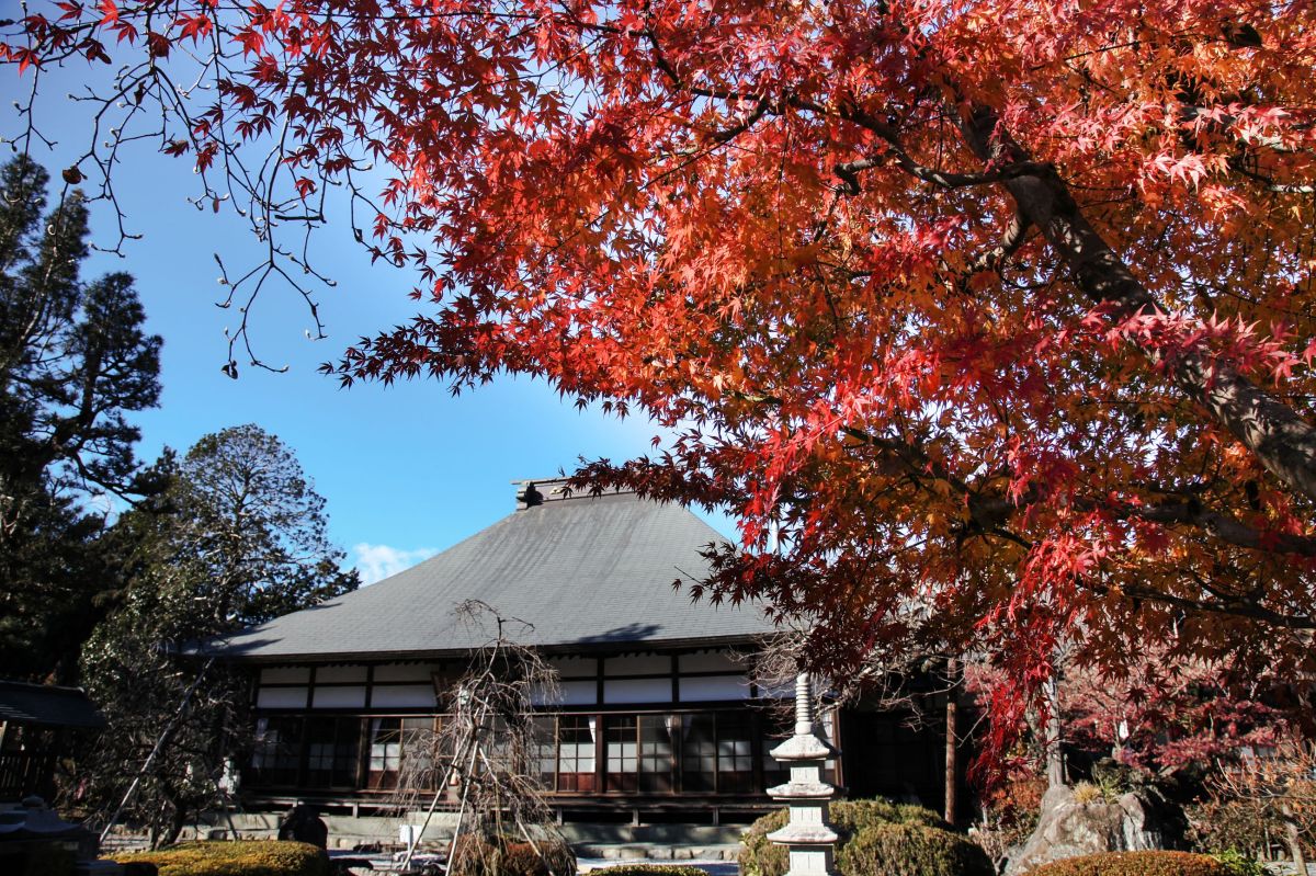 A寺の秋