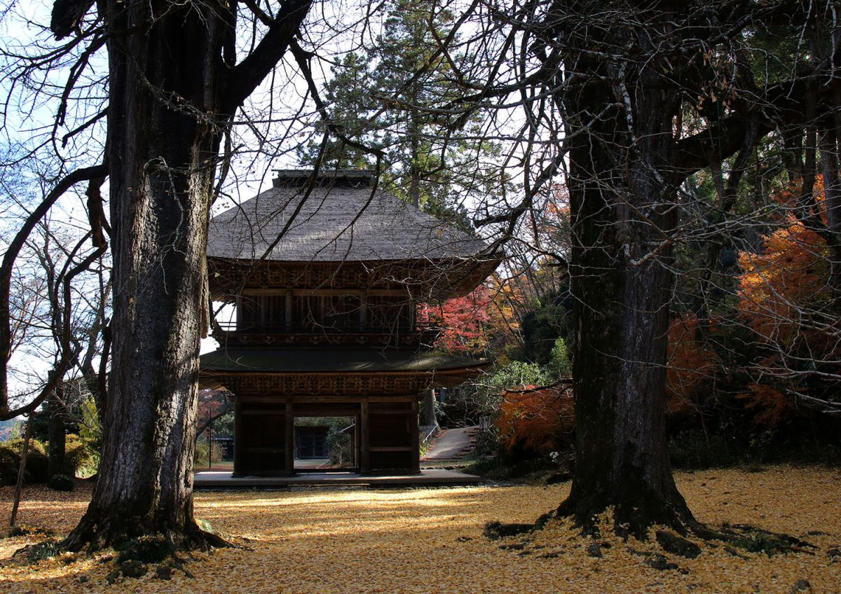 広徳寺（１２月）