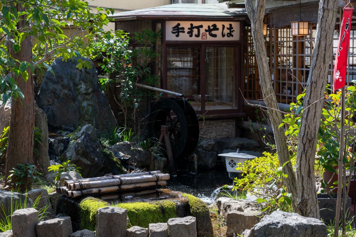 神代植物公園(昼食)
