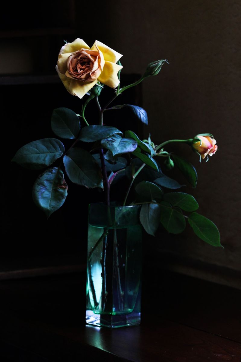 04花