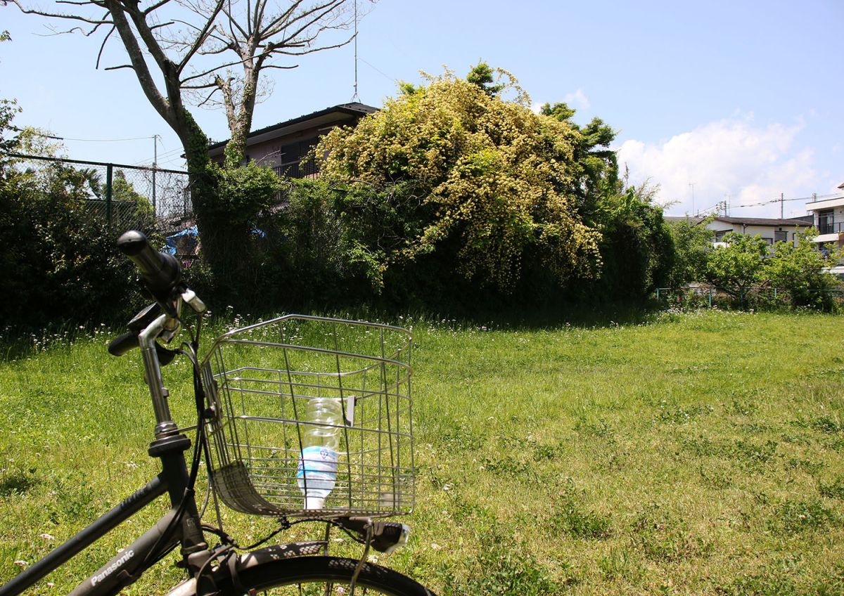とりおい公園（５月）