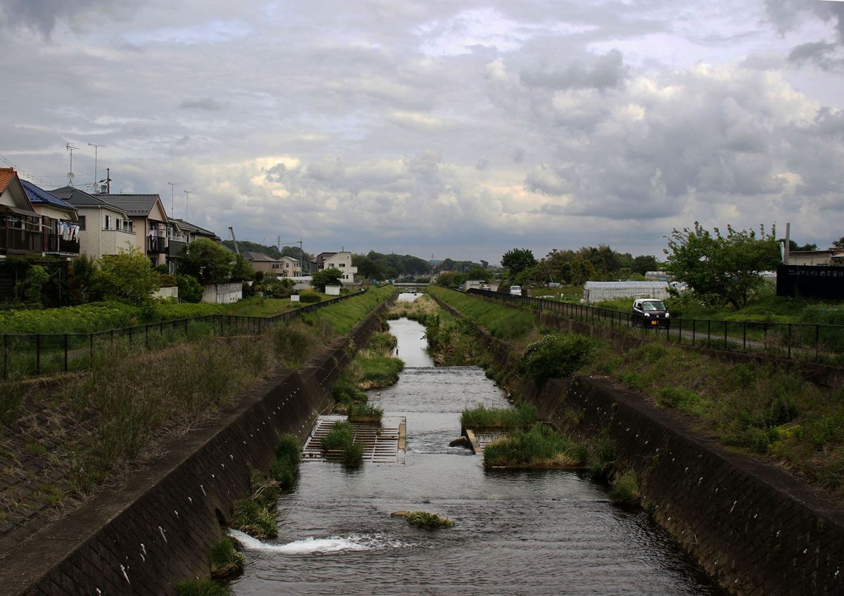 湯殿川（５月）