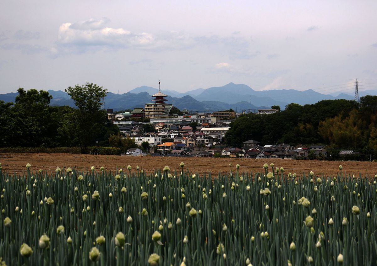 小比企（５月）