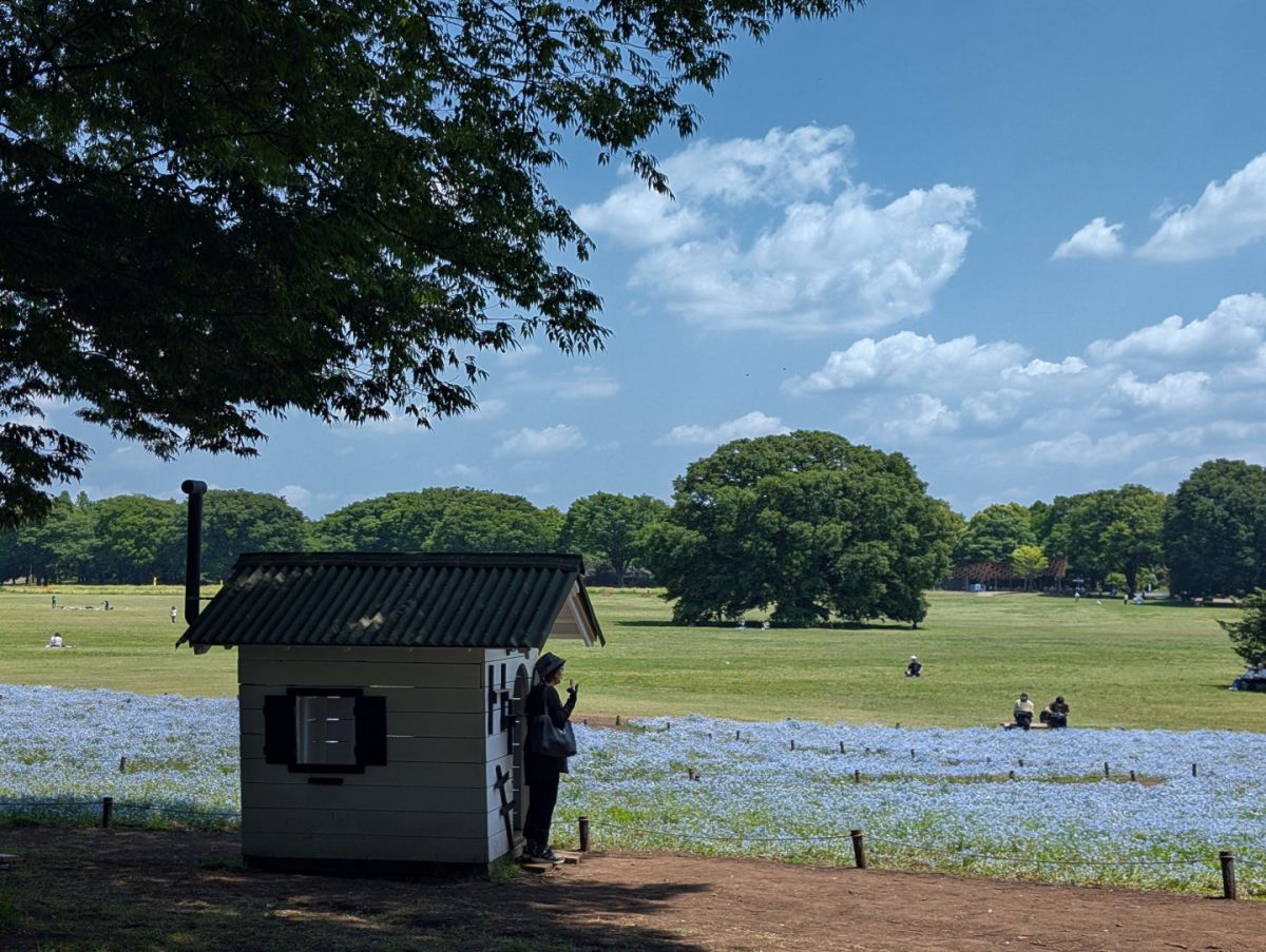 ０５　昭和記念公園　渡辺　　　　　　　　　　　　　　　　　　　　　　　　