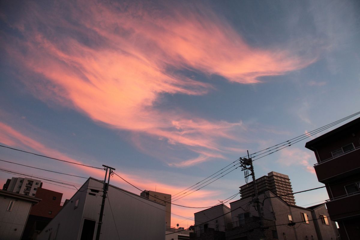 07界隈