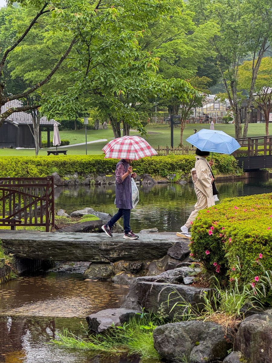 9雨の庭園