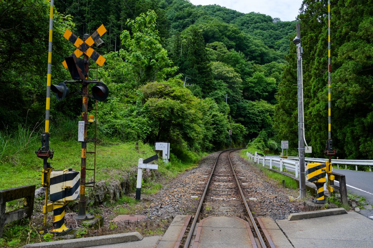 渡良瀬川