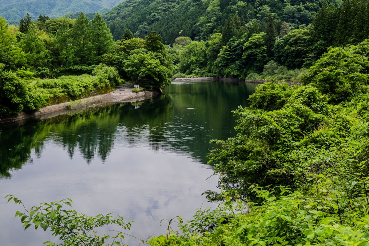 渡良瀬川