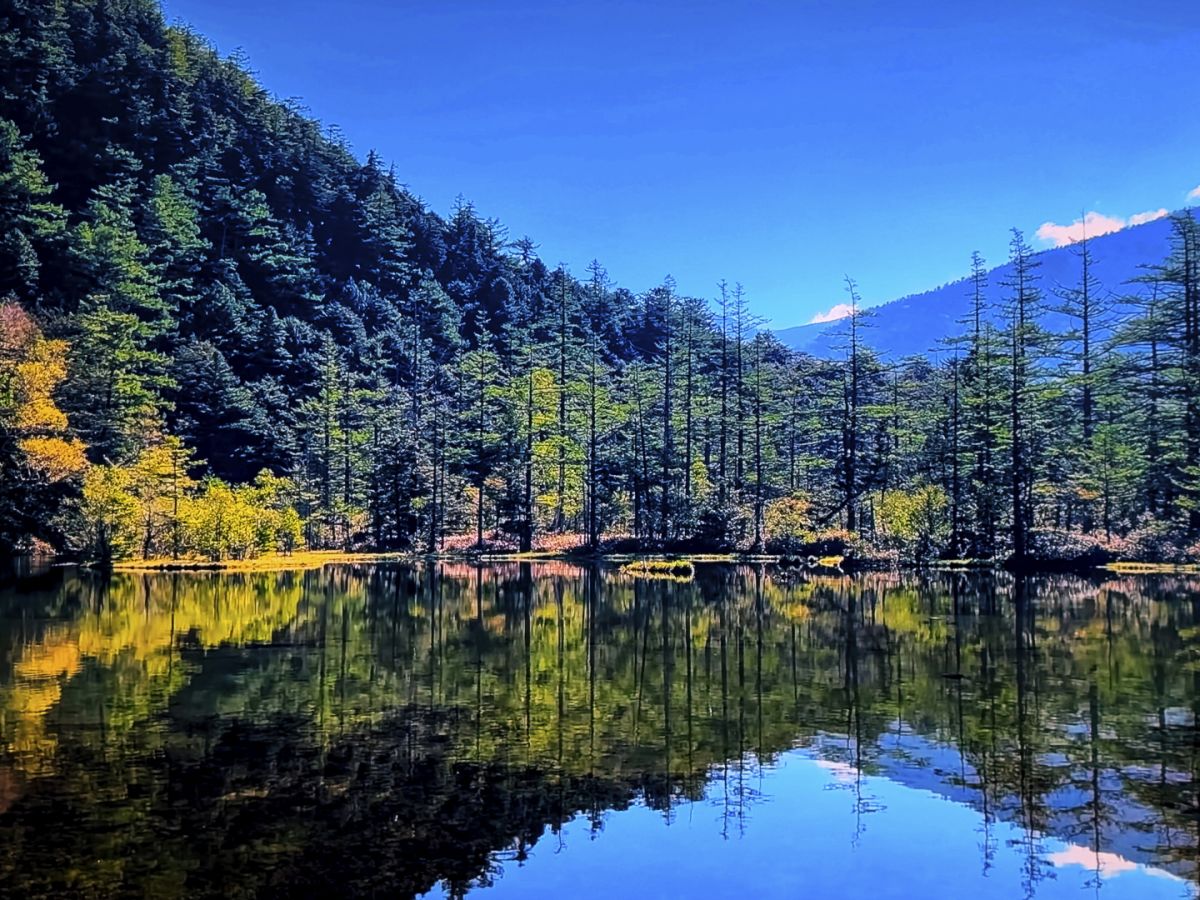 ０９　明神池　渡辺　　　　　　　　　　　　　　　　　　　　　　　　