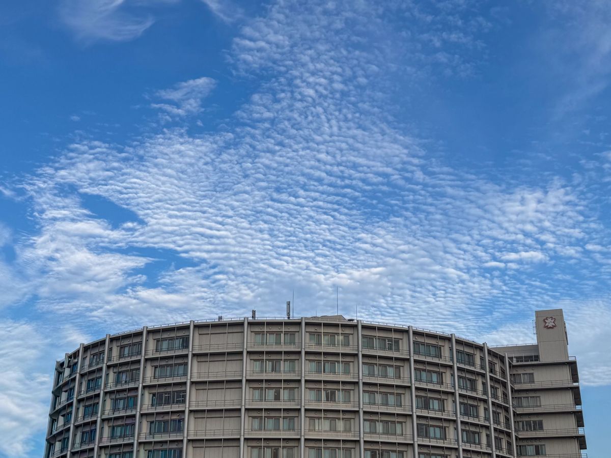 夏空