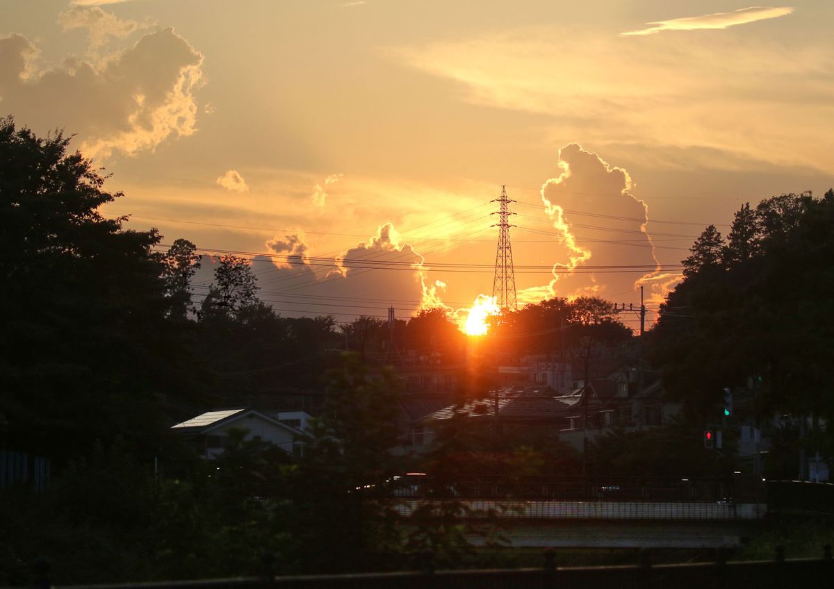 カタクリ橋（８月）