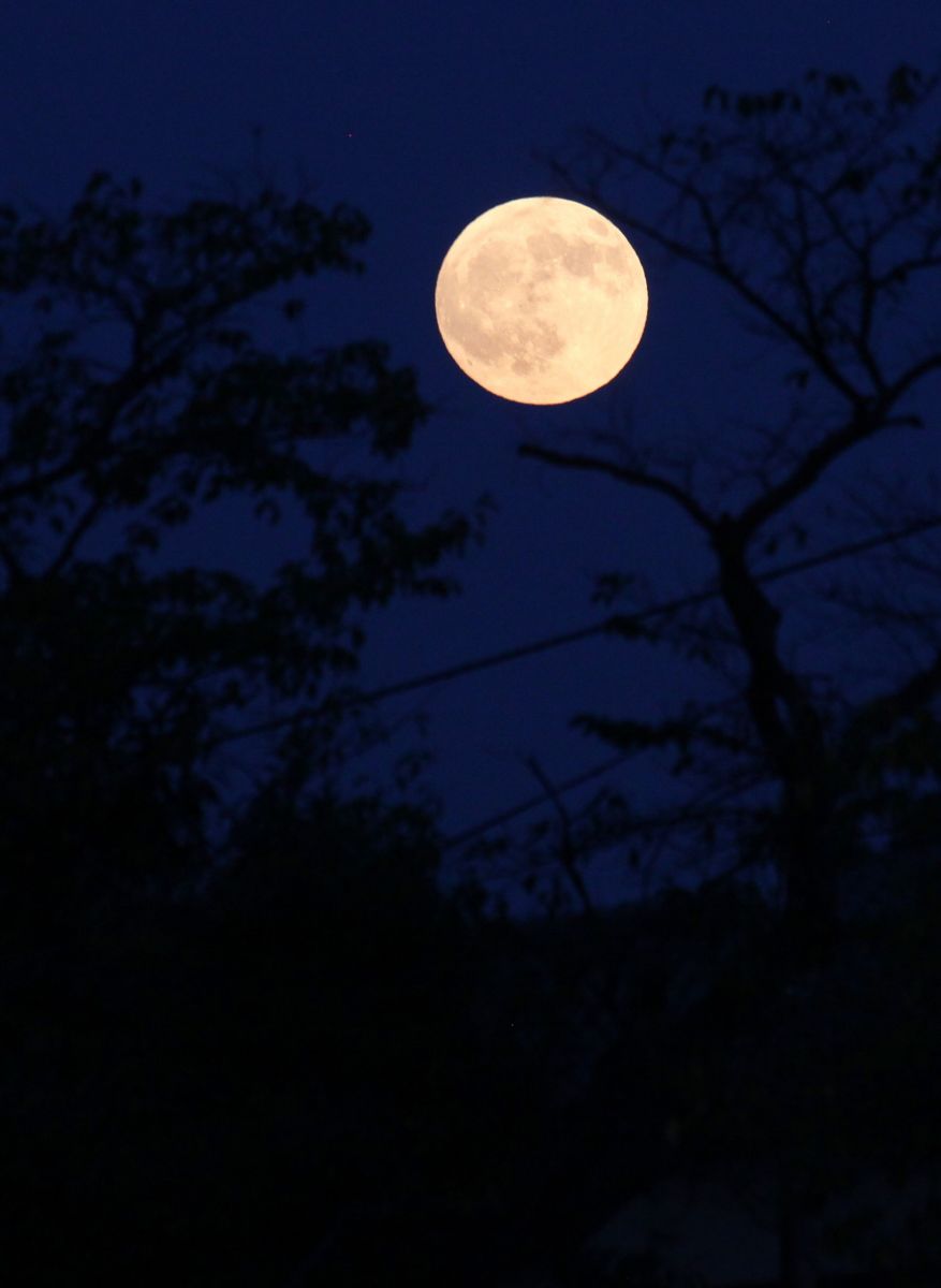 01月食の日月の出