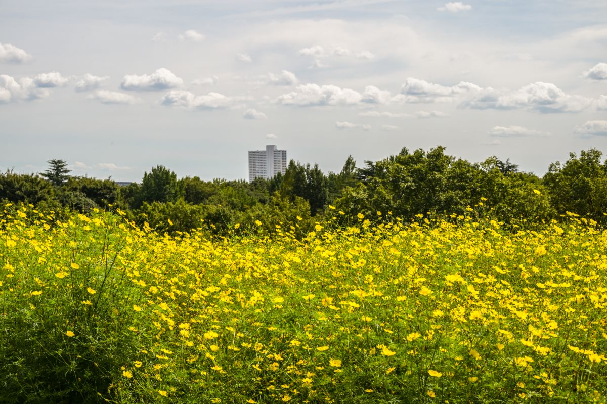 昭和記念公園20250922