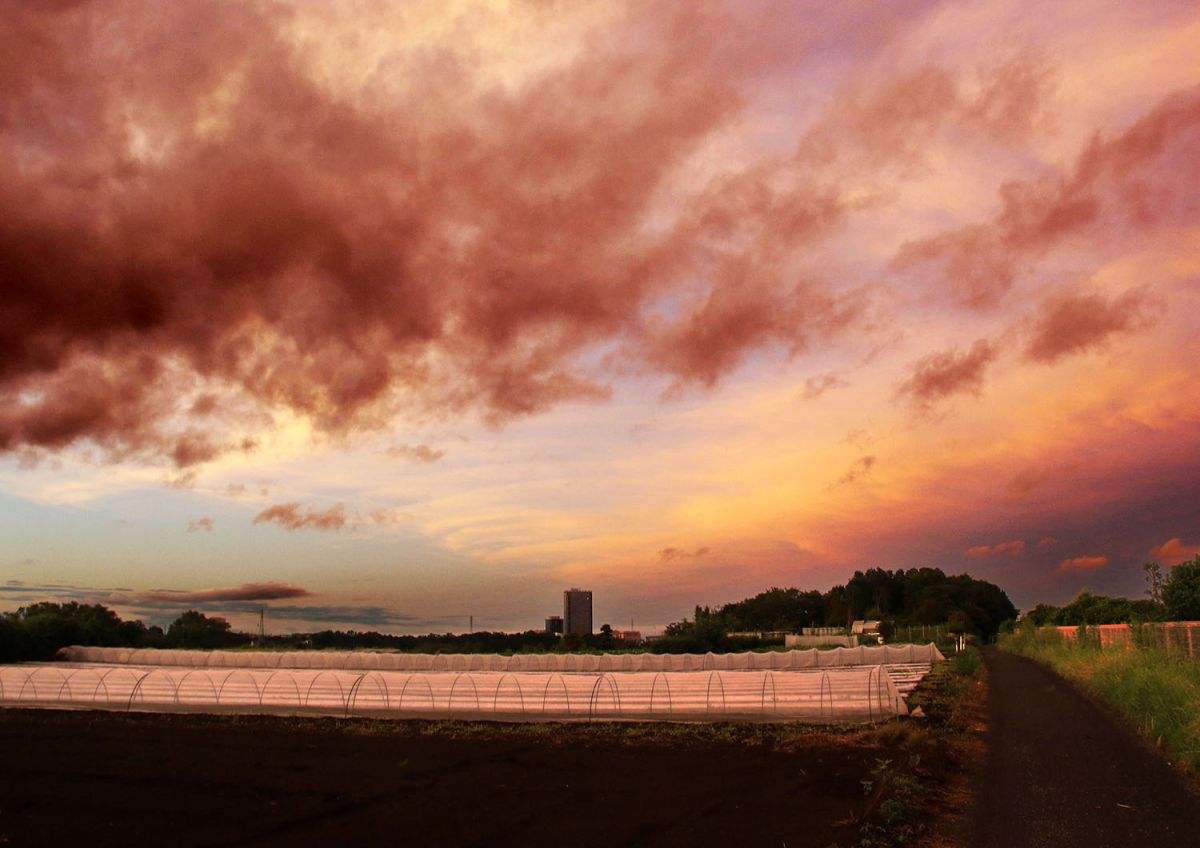 小比企（９月）