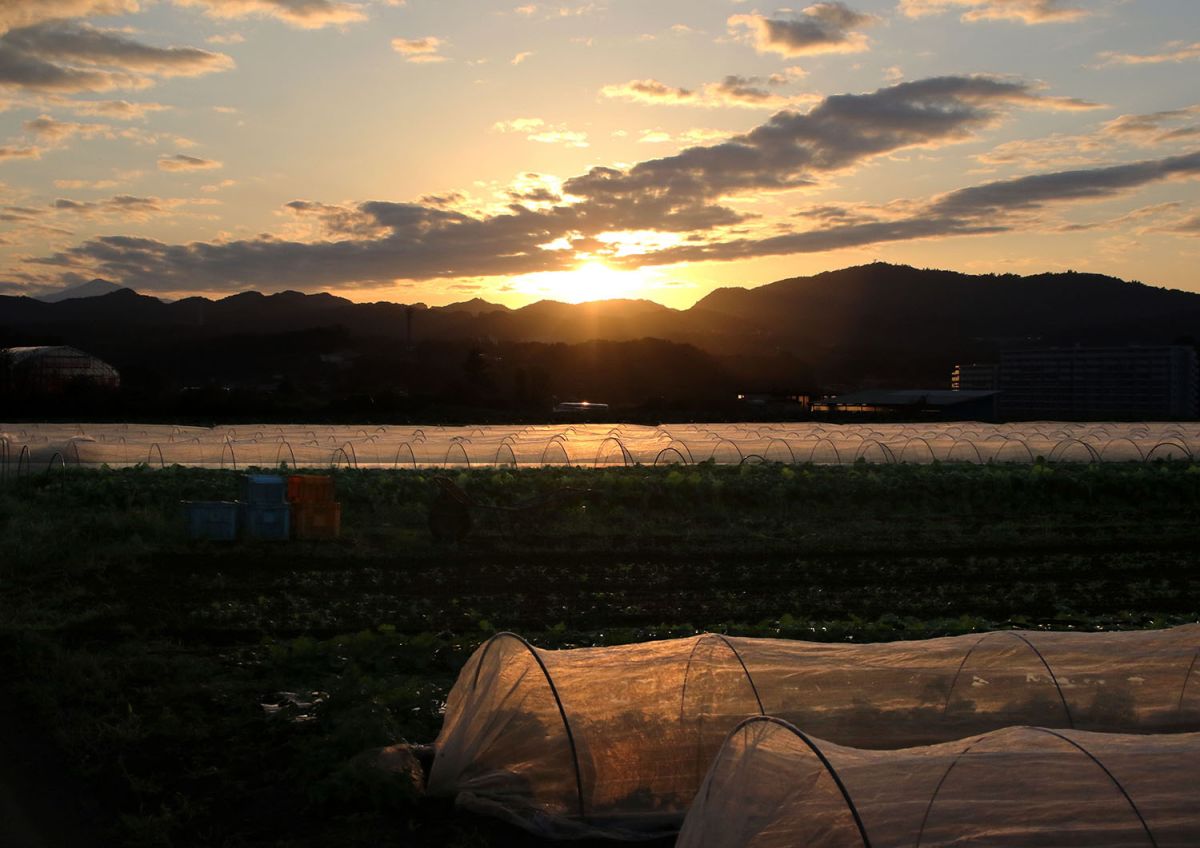 小比企（１０月）