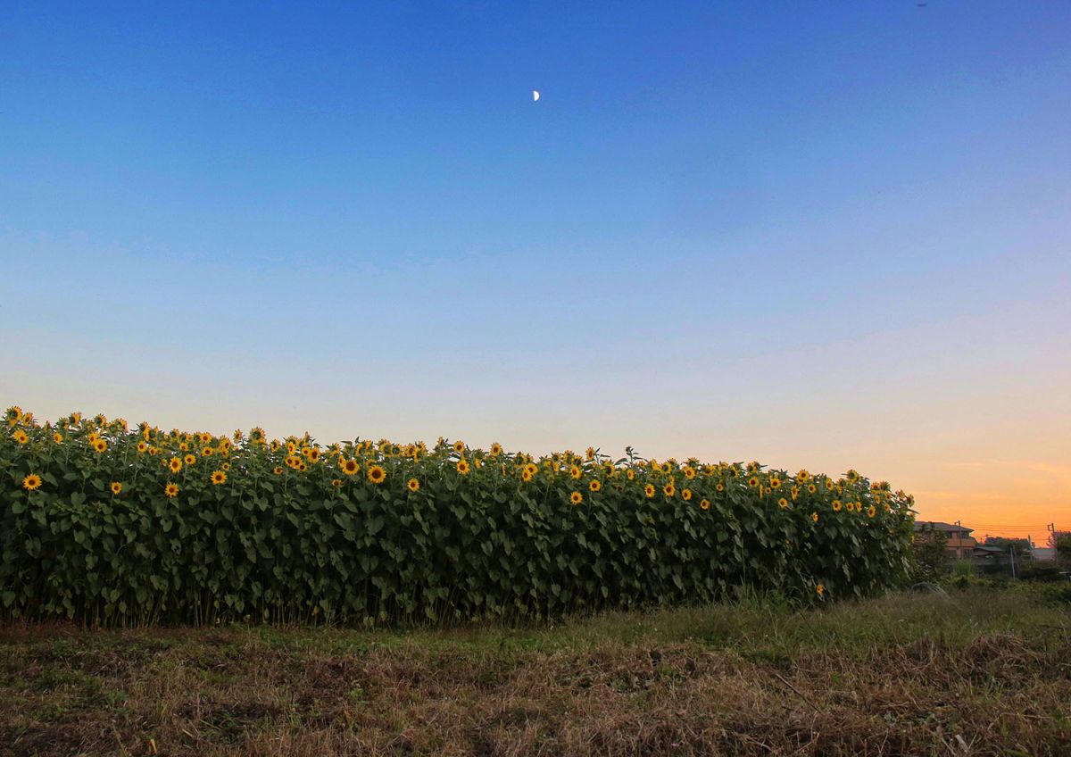 小比企（１０月）