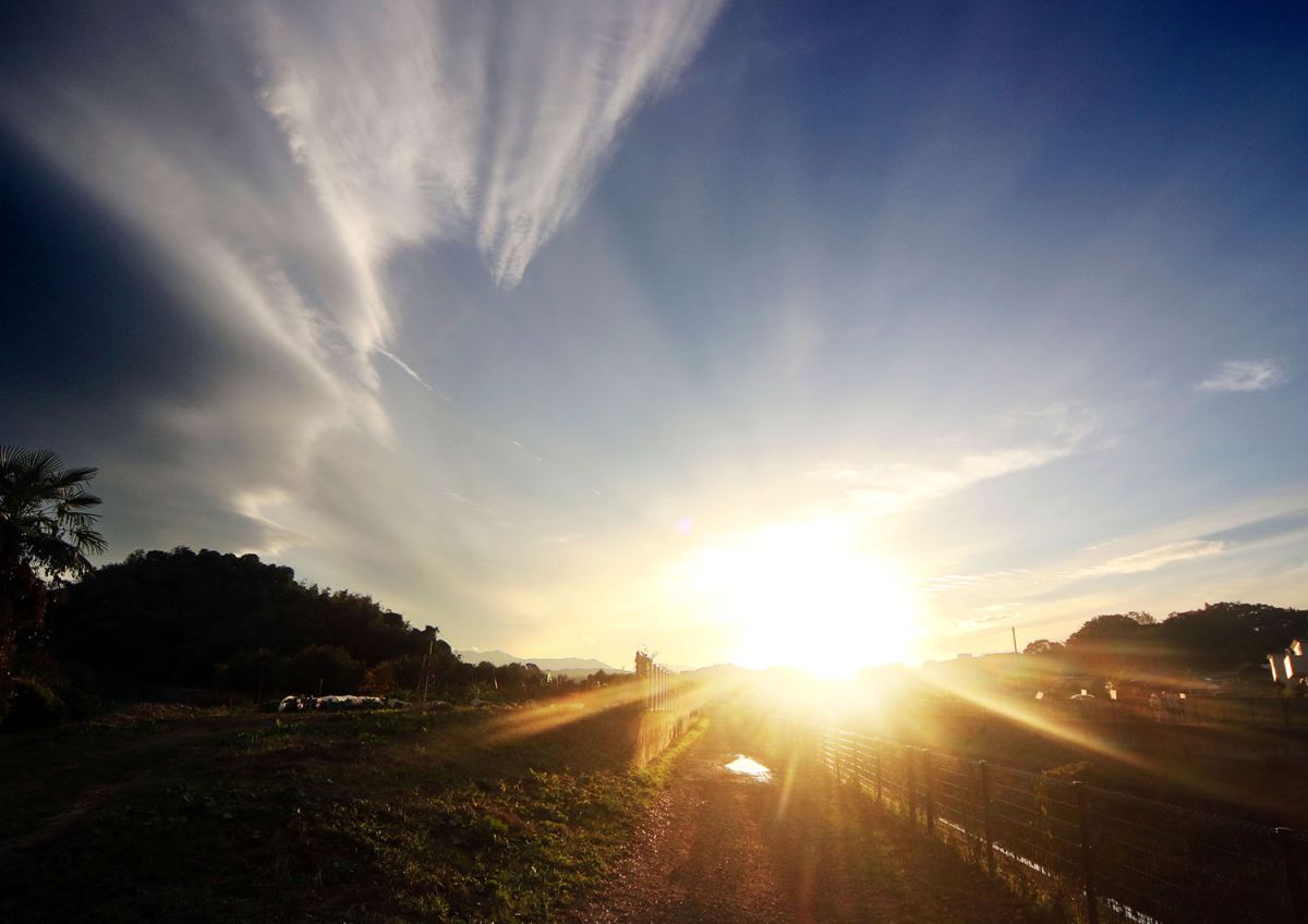 釜土橋（１１月）