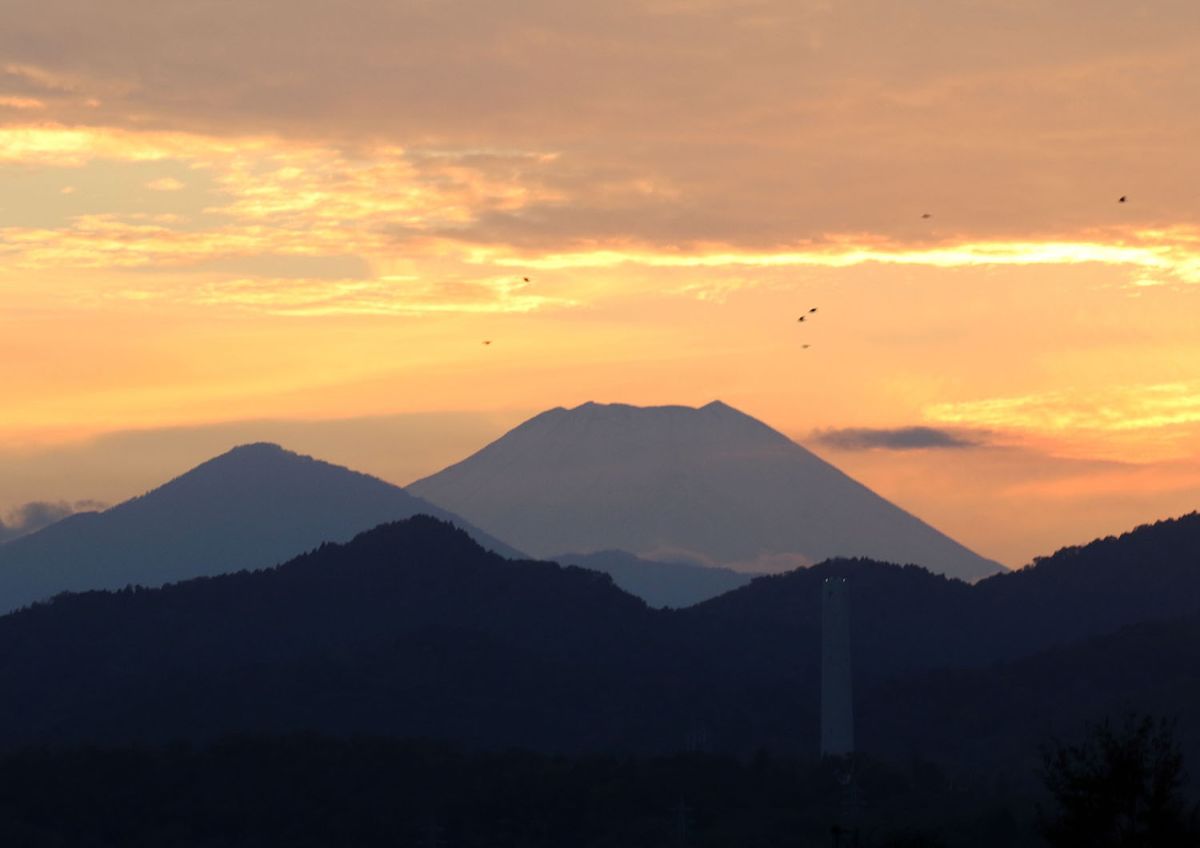 富士山（１１月）
