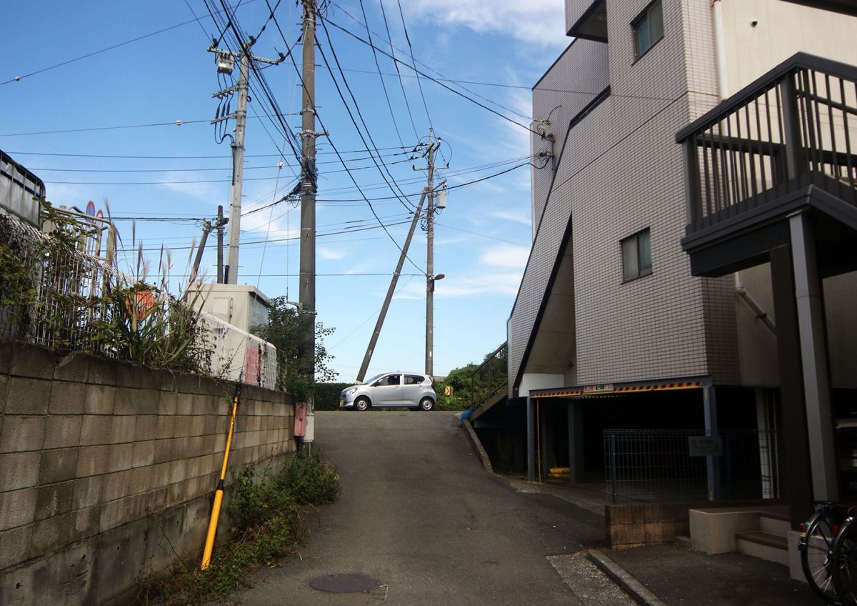 脇道（１１月）