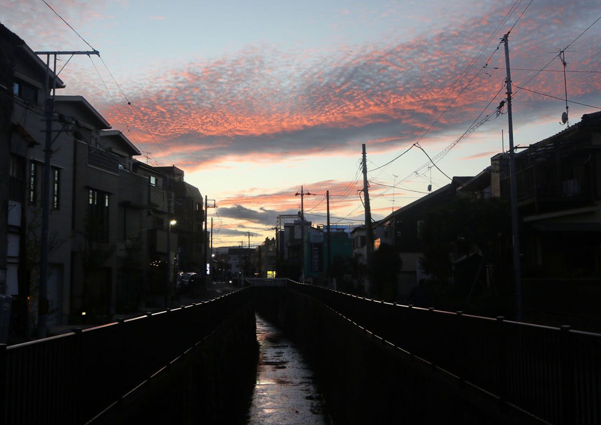 山田川（１１月）