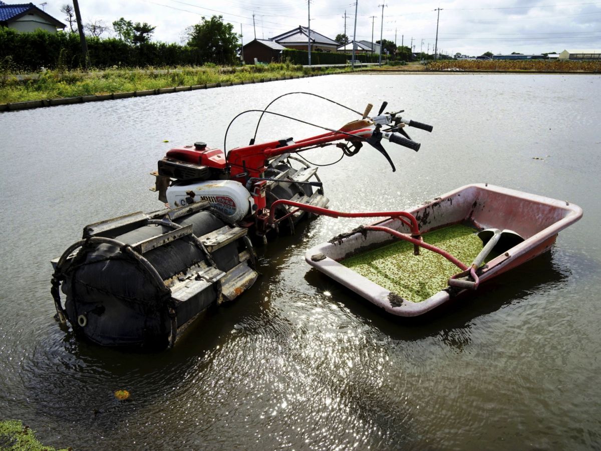 ０１　蓮田　渡辺　　　　　　