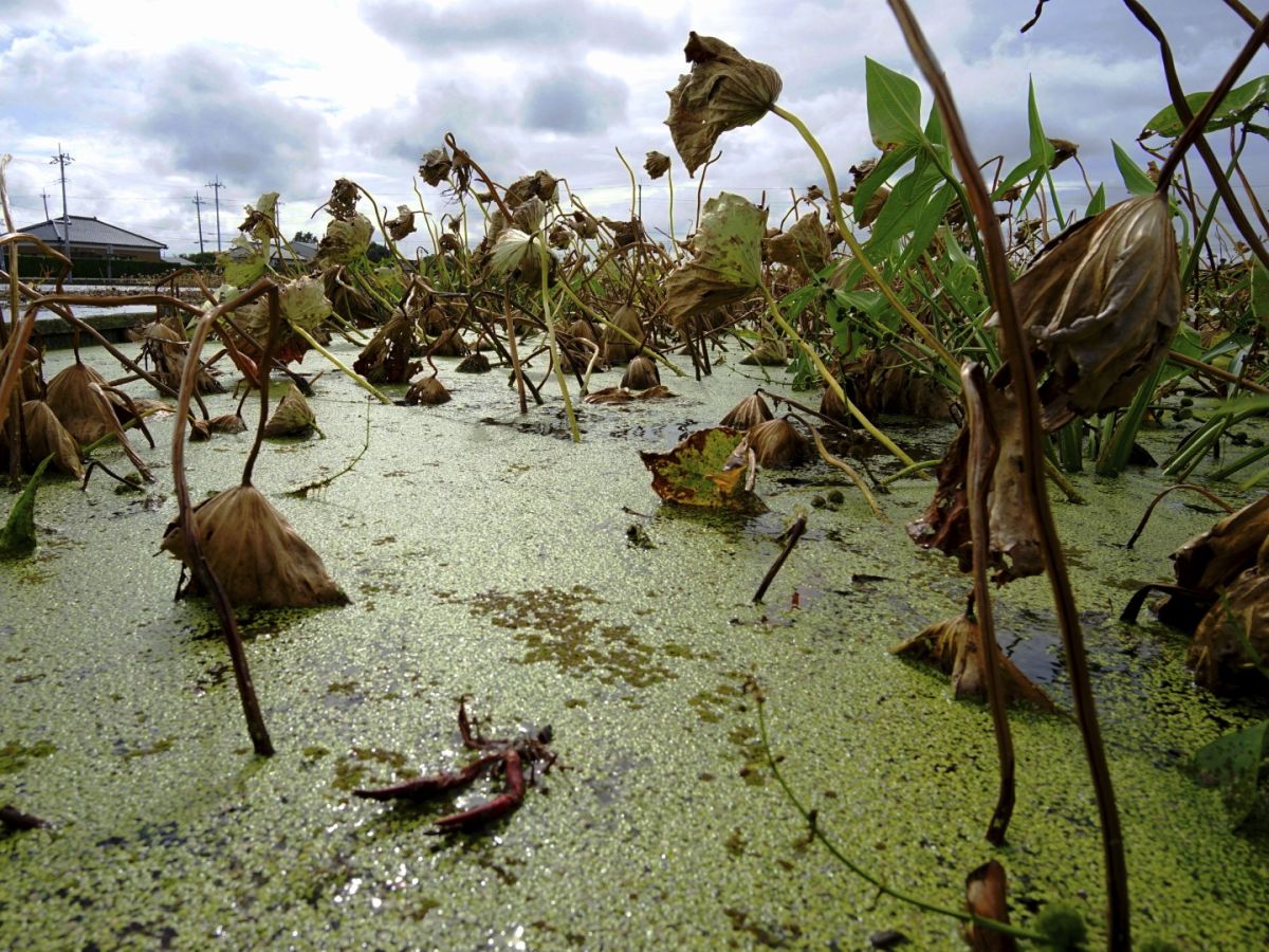 ０２　　蓮田　渡辺　　　　　　