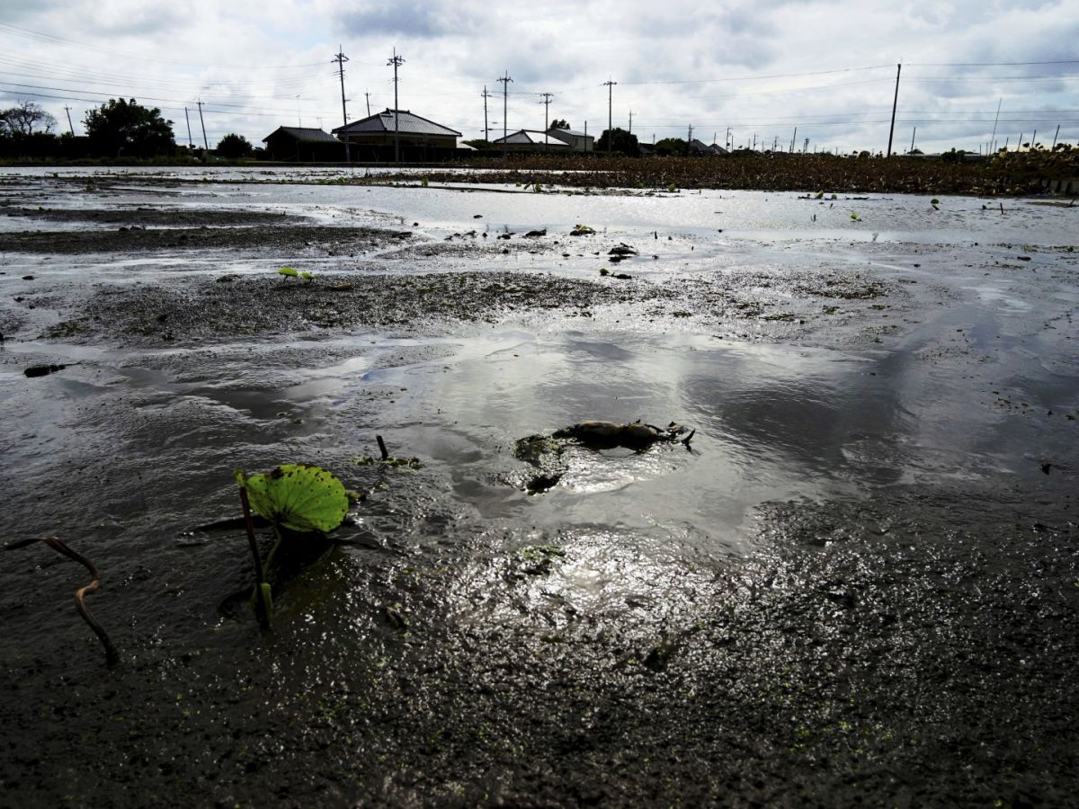 ０３　　　蓮田　渡辺　　　　　　