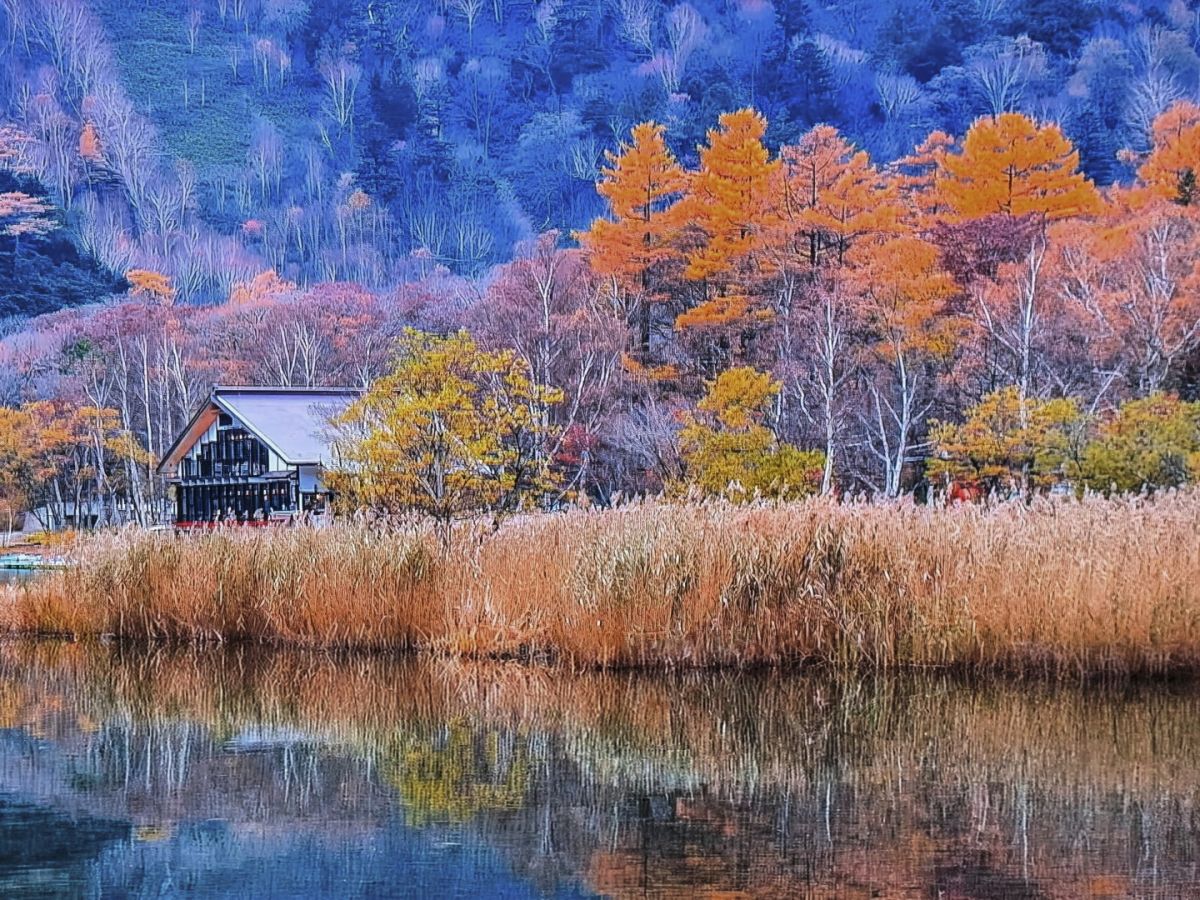 ０３　日光の秋　渡辺　　　　　　