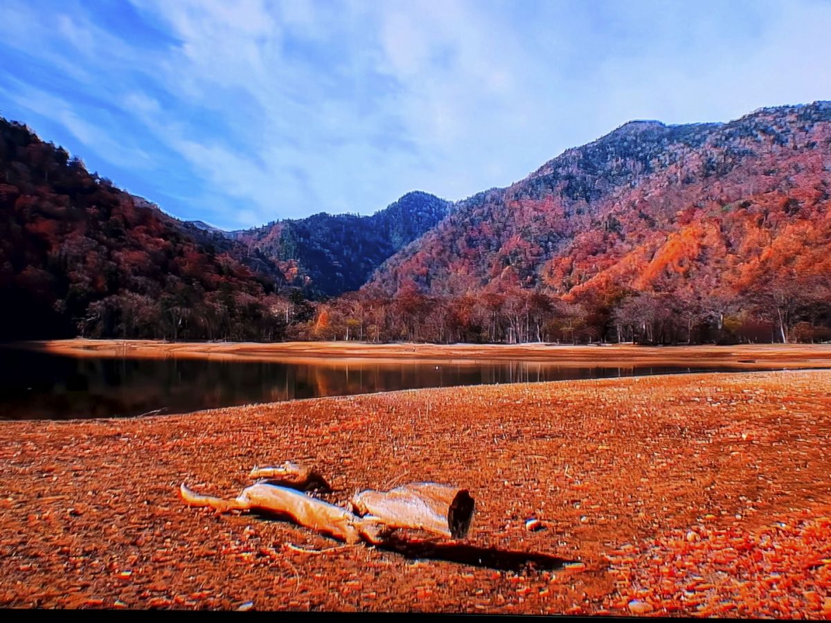 １０　静かな湖畔　渡辺　　　　　　